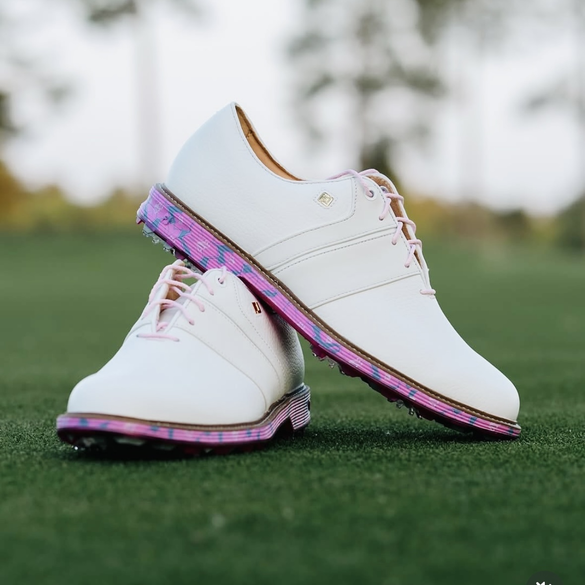 FootJoy高尔夫球鞋男限量樱花粉防水款Premiere Legends Series