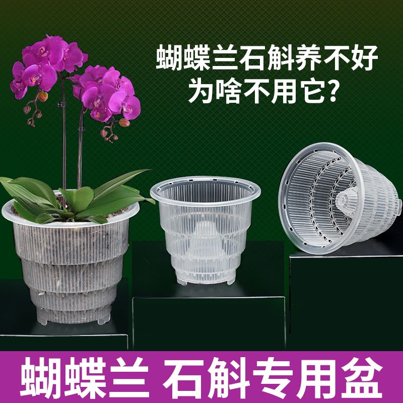控根花盆石斛专用盆 透气 洋兰花盆蝴蝶兰盆塑料花盆创意透明