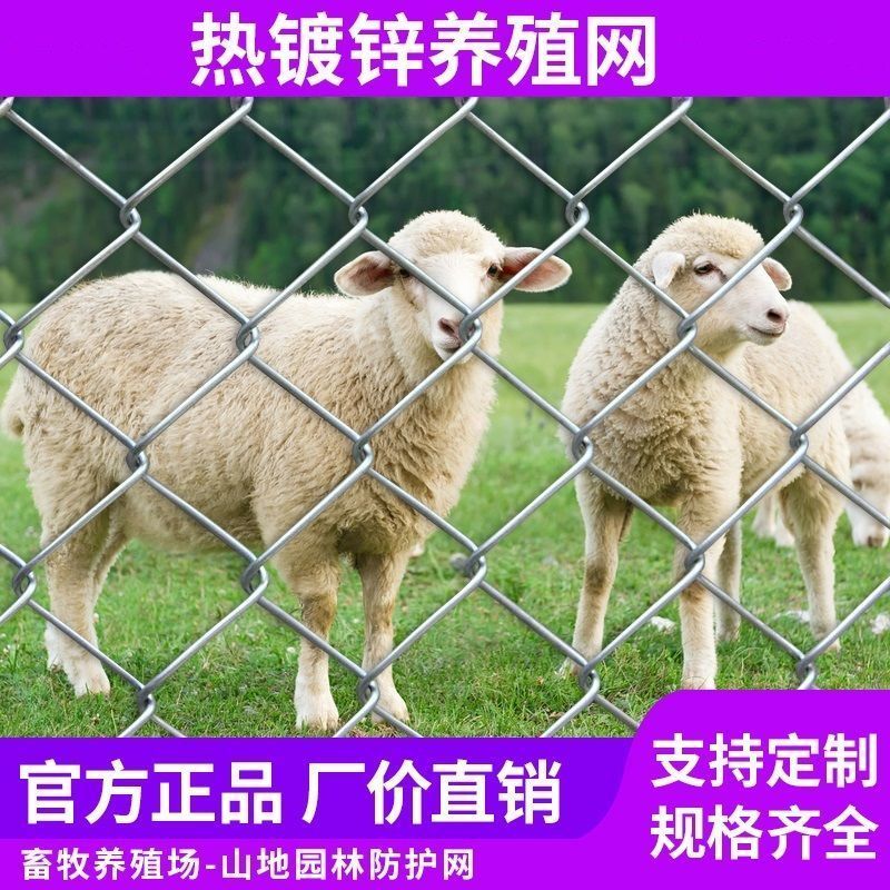 【年末清仓】热镀锌铁丝网 钢丝勾花网菱形网格 养殖网果园网