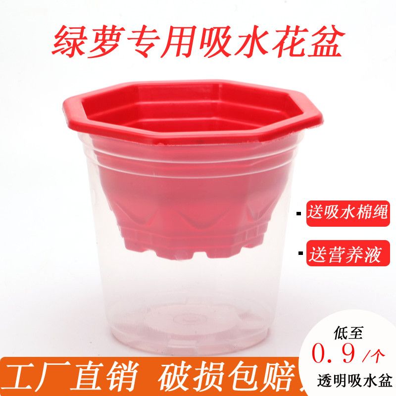 懒人自动吸水塑料透明储水盆水培土培绿萝花盆多肉盆栽免浇水花盆
