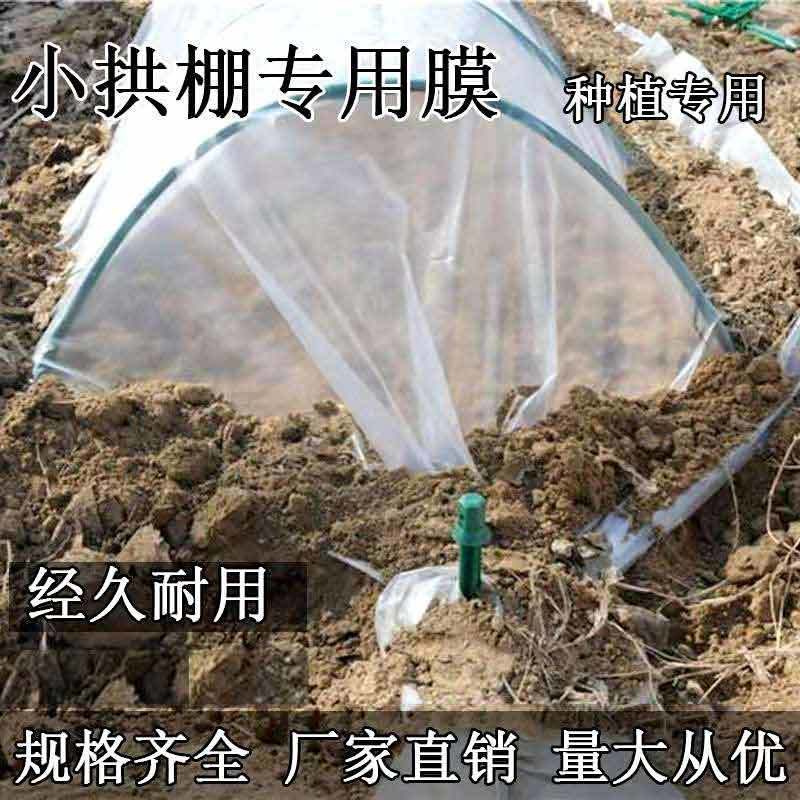 保温小棚膜透明透光家庭菜园菜地薄膜大棚防冻户外隔离支架园艺棚