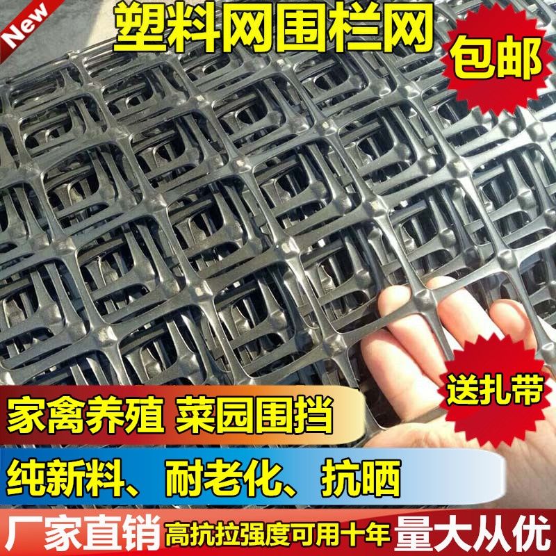 全新料小孔养殖网塑料网格栅网防护网拦鸡鸭网漏粪网床护栏围栏网