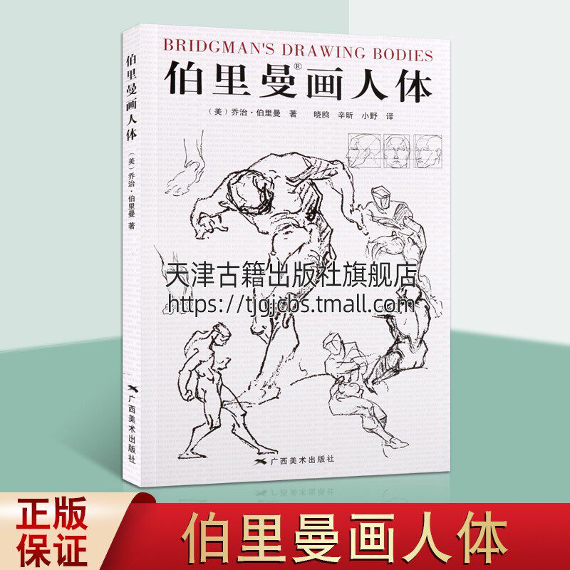 伯里曼画人体 美国乔治伯里曼著 绘画素描速写结构教学 人体结构学