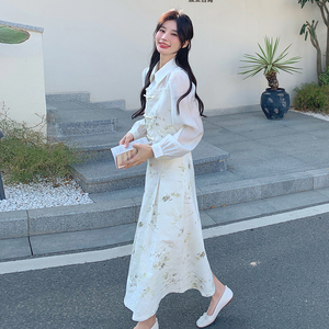 新中式国风穿搭碎花衬衣套装女春秋超火好看高级感半身长裙两件套图片