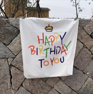 派对场景布置装 韩国ins宝宝生日背景墙字母挂旗装 饰森系儿童挂布