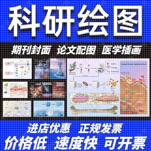 科研绘图/代画作图sci医学插图画图机制图origin图形摘要封面美化