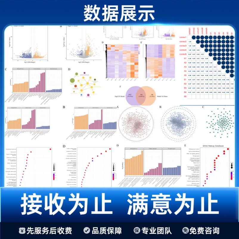 生信分析医学TCGA GEO数据挖掘sci1-8分转录组学测序单项整体服务
