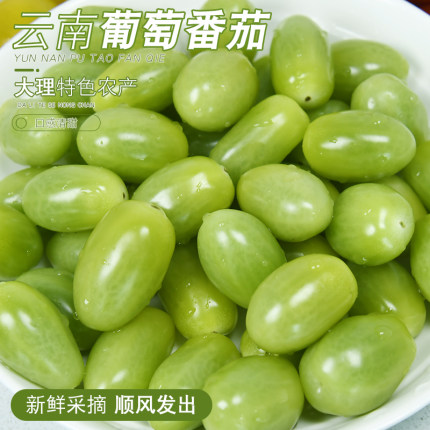 大理葡萄番茄清甜多汁沙拉生食青色绿色圣女果小西红柿新鲜水果