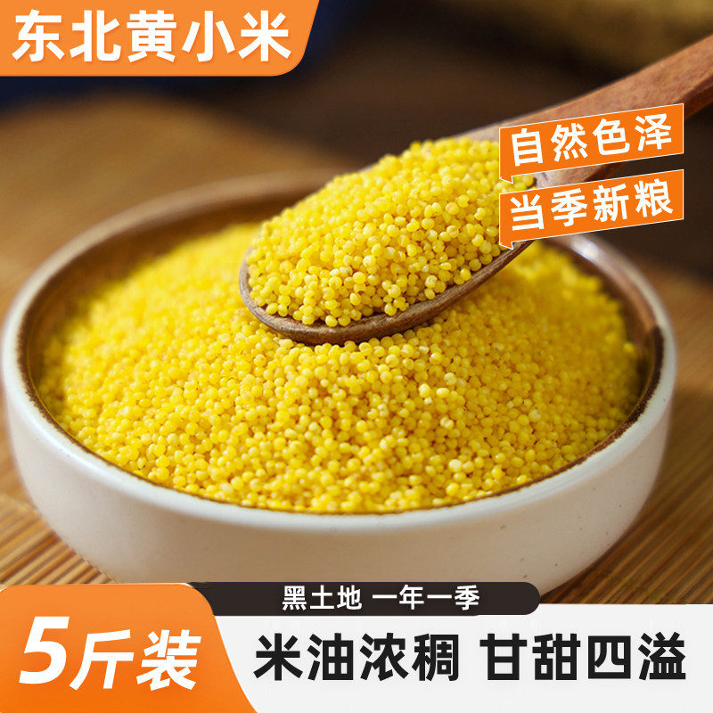 当季新米东北农家黄小米五谷杂粮黑龙江粮食软糯小黄米粥米油丰富