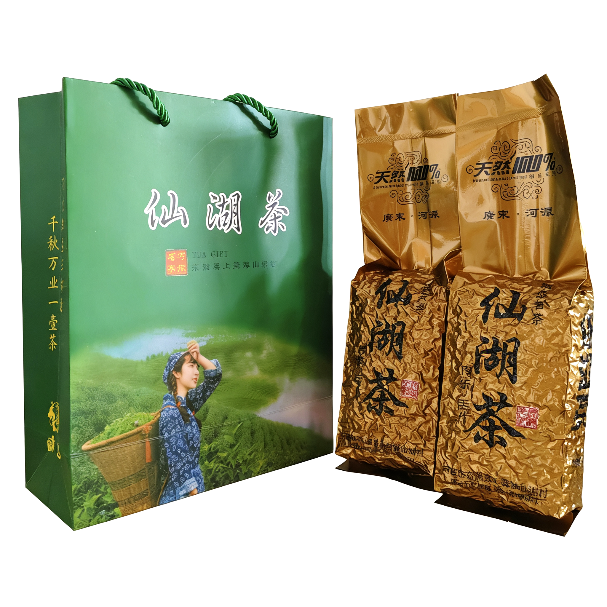 河源仙湖茶上莞茶春茶清明前绿茶特产礼盒2026新茶特产一斤装一级