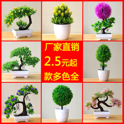 仿真植物盆栽草球盆景小树