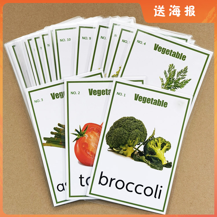 启蒙防水塑封实物英文单词卡片