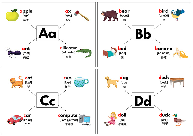 儿童英语单词思维导图卡片字母