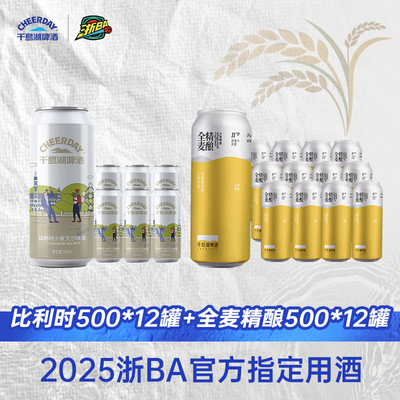 千岛湖啤酒精酿500mL*12瓶2箱