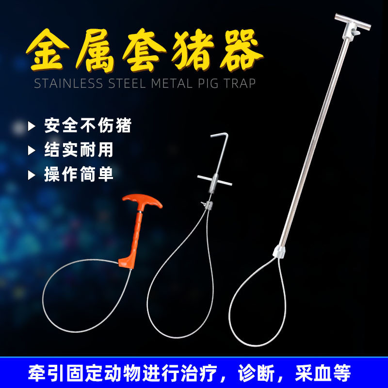 套猪器猪用绑定器保定器 不锈钢拴大猪套子 拉猪器套狗器抓猪工具,畜牧/养殖物资,畜牧/养殖器械,淘宝优惠券,粉丝福利购,淘宝优惠卷