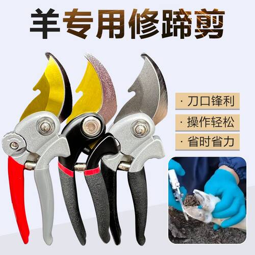羊蹄剪刀修子羊用养羊专