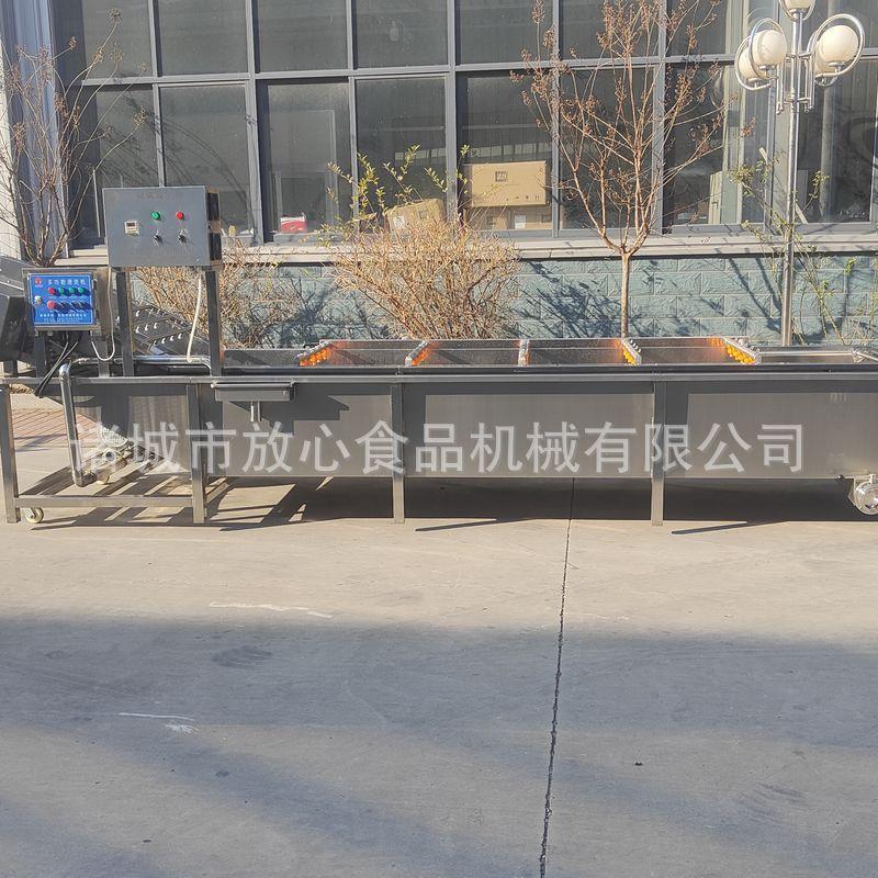 自动蔬菜气泡清洗机 黄花菜清洗机 娃娃菜清洗机