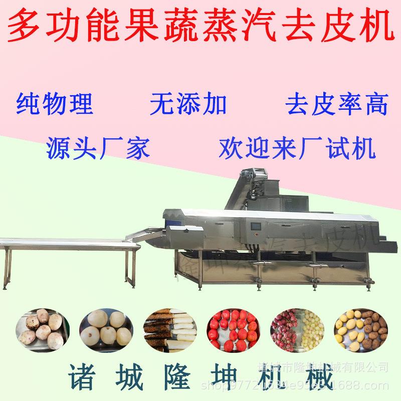 全自动芋头蒸汽去皮机 土豆红薯高温烫皮机 葡萄桃子纯物理削皮机