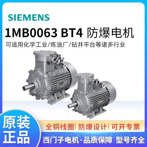 隔爆电机1MB0063-1CC2 4W6极F级 IP55 BT4三相交流异步F级