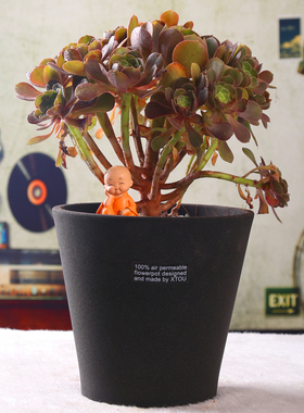 老盆友2019透气大花盆xtou会呼吸的创意多孔陶瓷爆款兰花老桩红陶