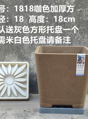 老盆友1818透气花盆XTOU会呼吸的兰花老桩多孔陶瓷红陶紫砂君子兰