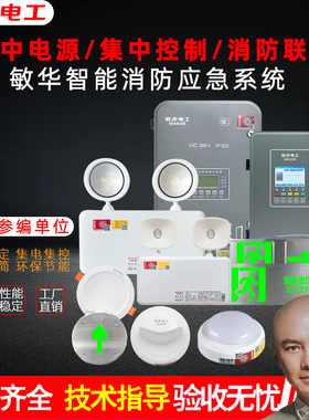 敏华A型36v集中电源箱模块集中控制消防疏散安全出口指示灯应急灯