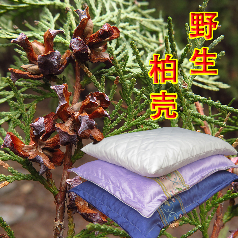 天然柏树籽壳成人枕头侧柏壳松树