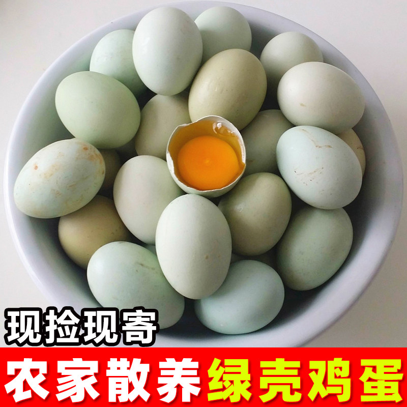 包邮广东正宗农家散养新鲜绿壳土鸡蛋