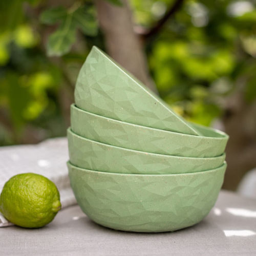 利快德国Koziol树脂汤盘碗餐盘套装外出轻便便携餐具好用餐具碗碟