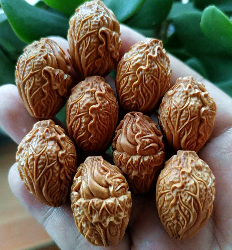 橄榄核手串白菜橄榄核雕百财招财苏工纯手工大籽文玩手串男士手链