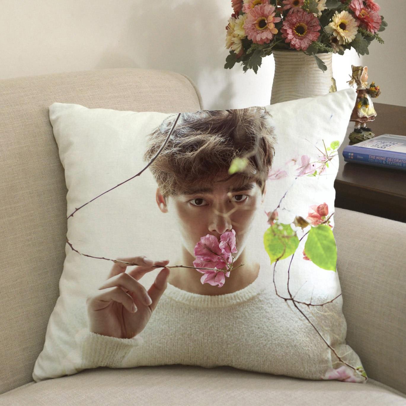 照片抱枕青云志李易峰周边沙发靠枕靠垫同学生日礼物枕头定制|ruв категории домашний ткань, подушка/подушка - от Buy2taobao.com для оказания профессиональной услуги покупки агента Taobao