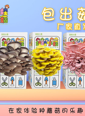 平菇粉红蘑菇菌包食用菌棒简单盒装蘑菇种植盒阳台礼盒蘑菇种植包