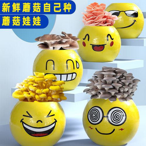 蘑菇娃娃喷水就长蘑菇盆栽
