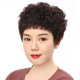 许昌假发 假发套 中老年真人发头套女人工烫短卷发蓬松自然显发量