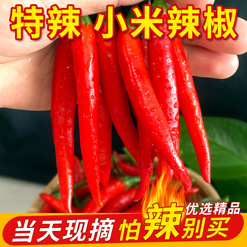 小米辣椒新鲜特辣朝天商用批发小米椒5斤红椒指薄皮辣椒农家自种
