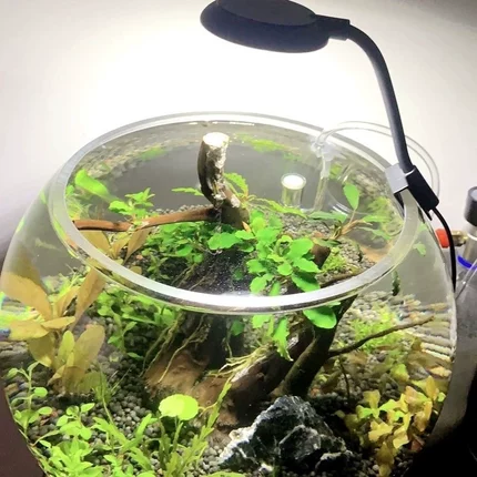 鱼缸灯led水草灯爆藻防水灯小鱼缸照明灯观赏专用迷你夹灯