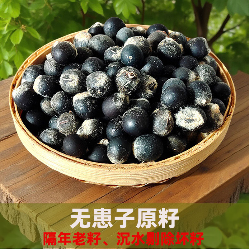 无患子菩提子手串diy文玩散装原料天然木患子佛珠材料原籽未打孔