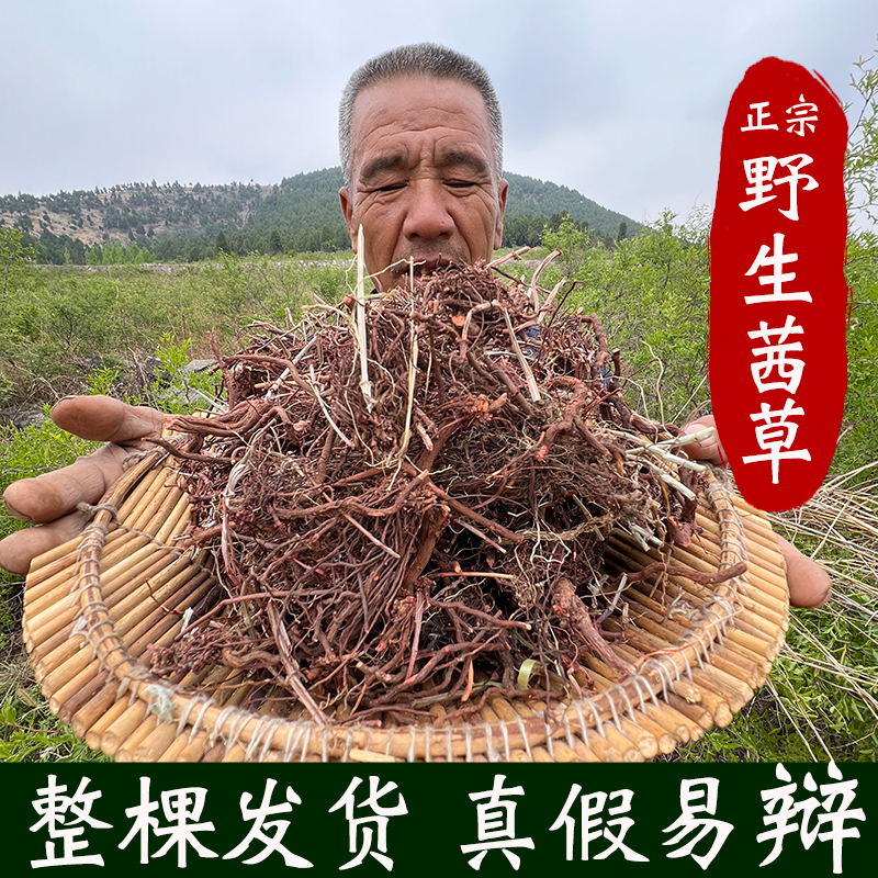 茜草根山东野生拉拉秧根