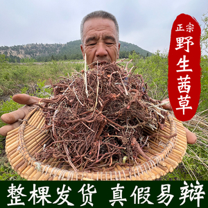 野生茜草根 红茅 拉拉秧根 娃娃拳血见愁倪海厦茜草生地膏原料