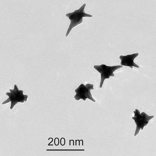 金纳米星颗粒科研实验室专用金胶体厂家直供