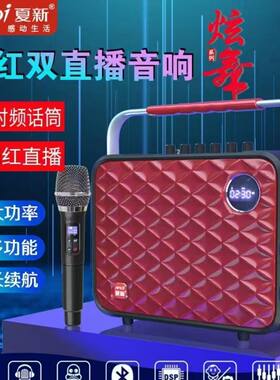 夏新V9移动便携广场舞唱歌音箱