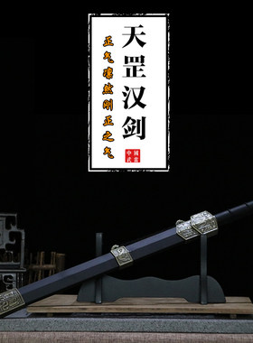 明强刀剑不锈钢短剑防身汉剑