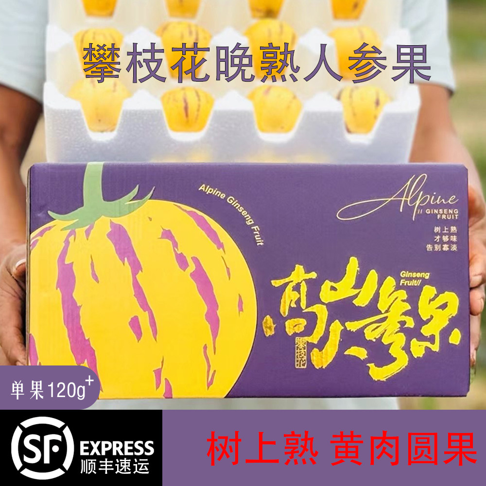 四川攀枝花树上自然熟人参果特大果黄肉孕妇新鲜水果5斤礼盒顺丰,水产肉类/新鲜蔬果/熟食,人参果,淘宝优惠券,粉丝福利购,淘宝优惠卷