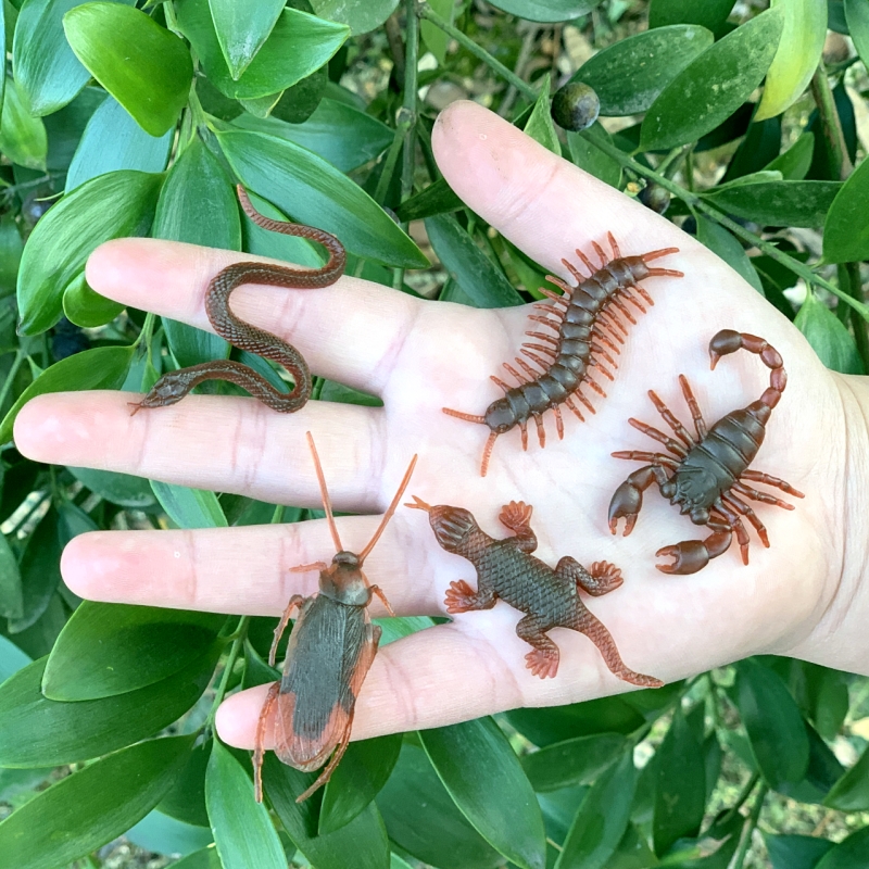 仿真小蛇儿童玩具吓人恶搞蟑螂蝎子壁虎迷你昆虫套装静态动物模型