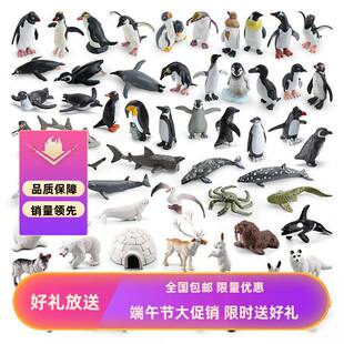 鲸海雀极地动物跨境帝王企鹅野生模型北极熊蟹仿真海洋套装手慢无