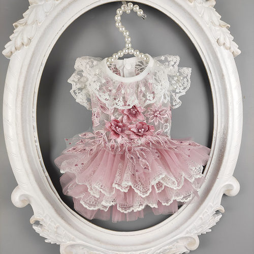 豆粉立体花春秋薄款泰迪比熊猫咪