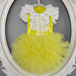 私宠手作柠檬黄宠物狗蓬蓬裙泰迪比熊博美犬裙子猫咪狗衣服订制