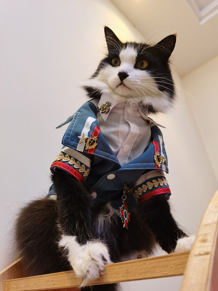 泰迪秋冬外套狗狗西装私宠手作