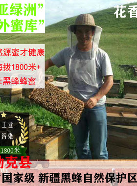 蜜都尼勒克县唐布拉草原百花蜜