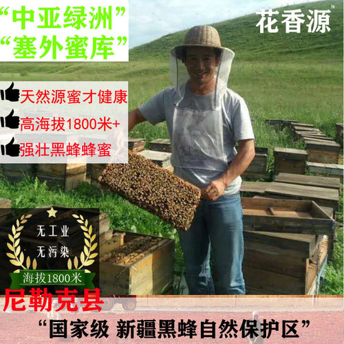 蜜都尼勒克县唐布拉草原百花蜜